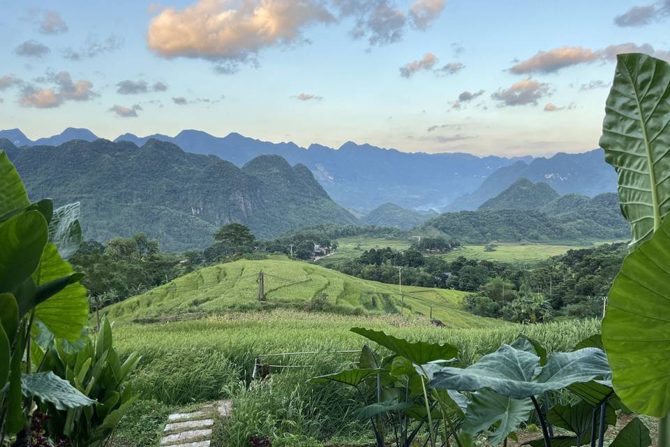 Paysage rizières en terrasse