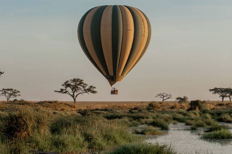 Activité atypique savane
