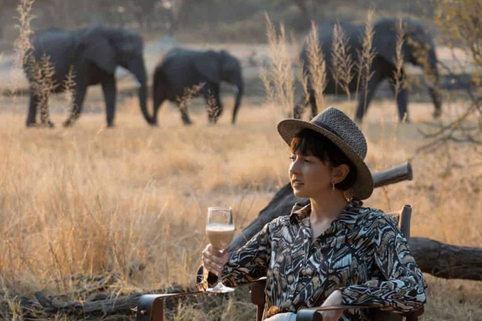 Lodge The Hide Zimbabwe