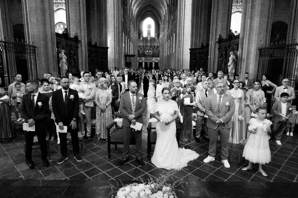 Wedding