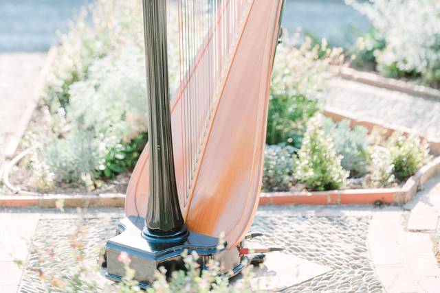 Harpe 8