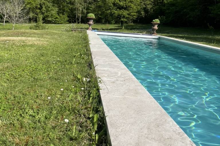La piscine vue sur la forêt