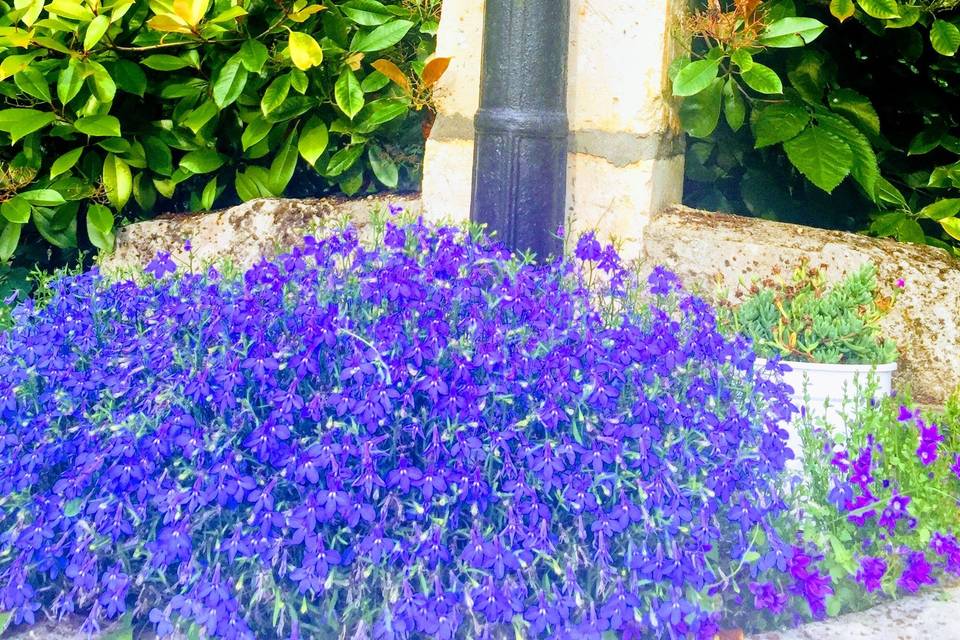 Fontaine de fleurs