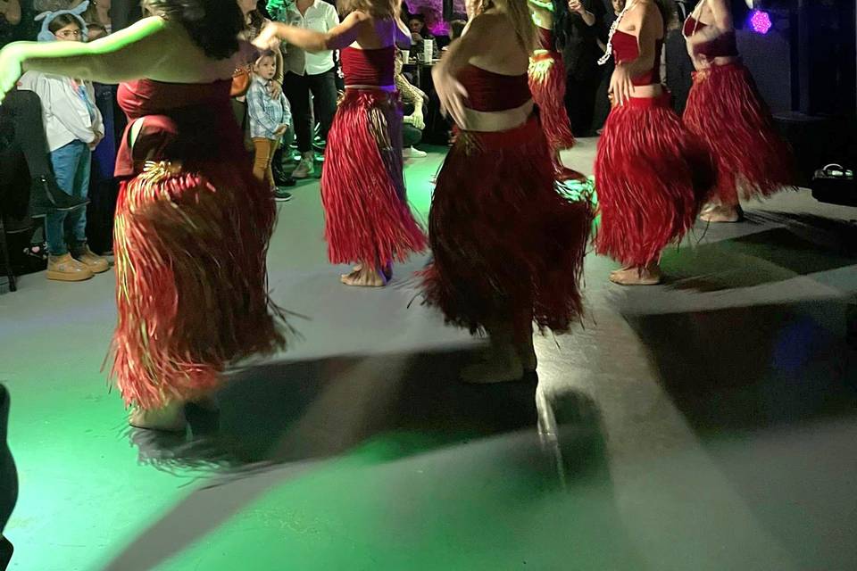 Show soirée à thème