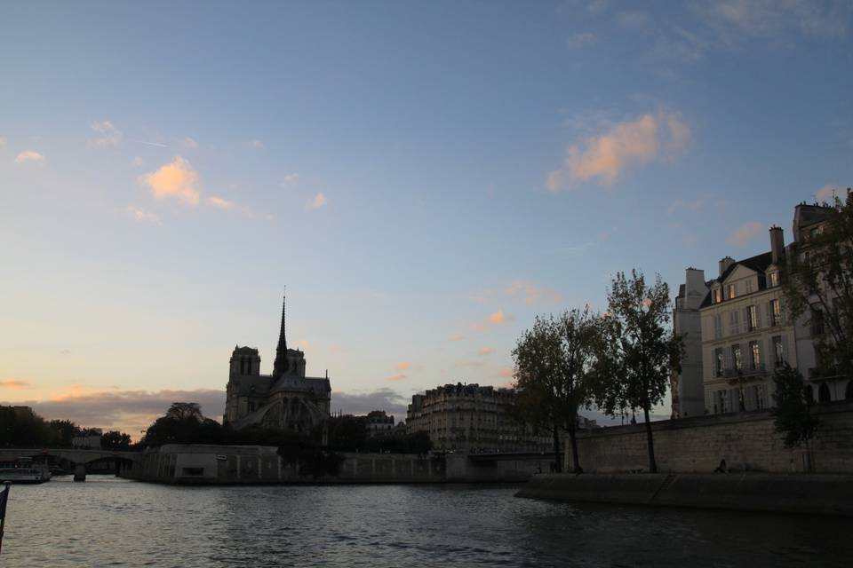 Notre Dame in sunset