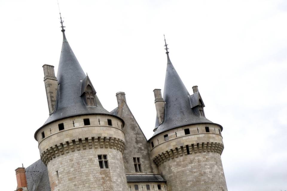 Chateau de Sully-sur-Loire