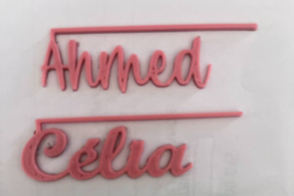 Celia 3D et Sublimation