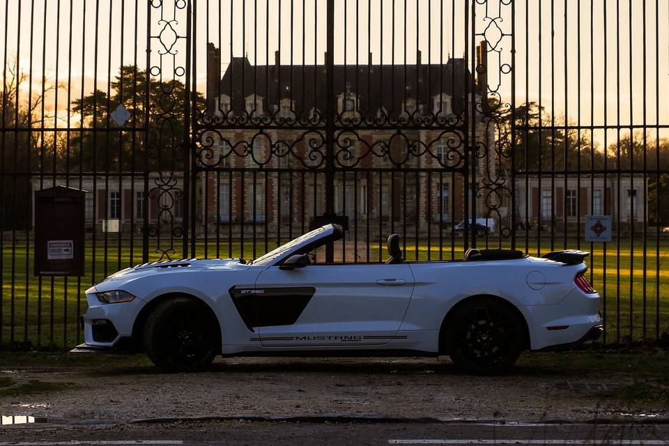 Mustang V8