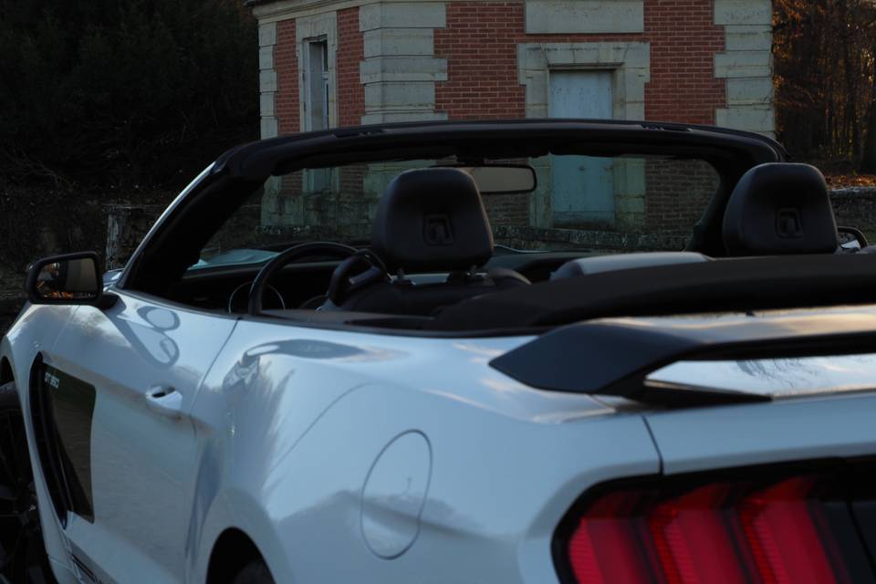 Mustang V8