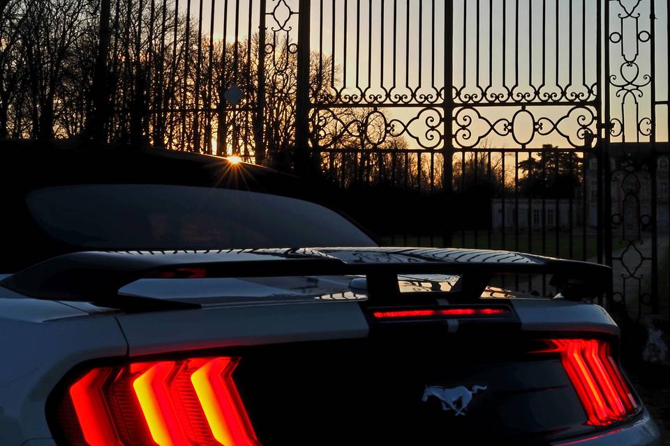 Mustang V8