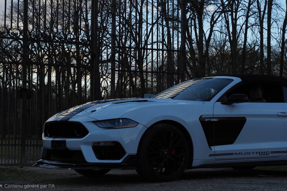 Mustang V8