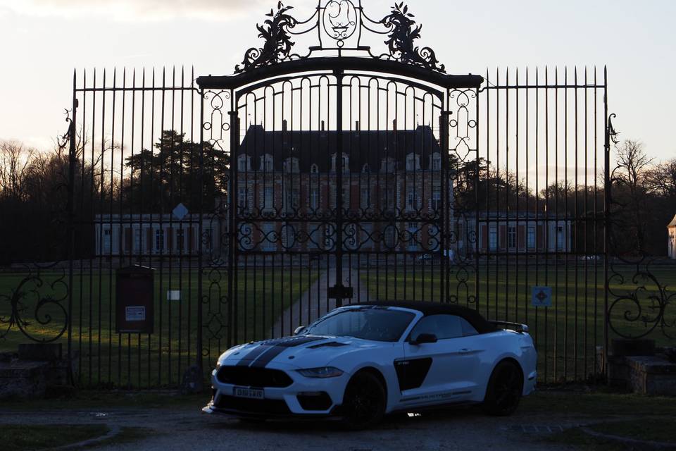 Mustang V8
