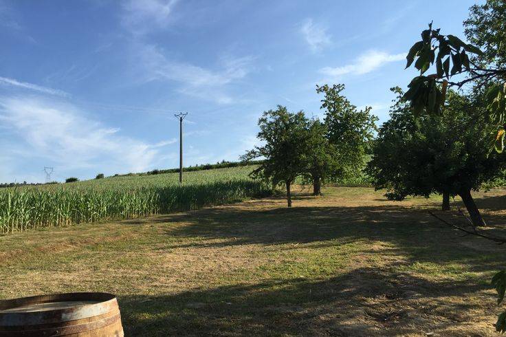 Jardin vue sur gite