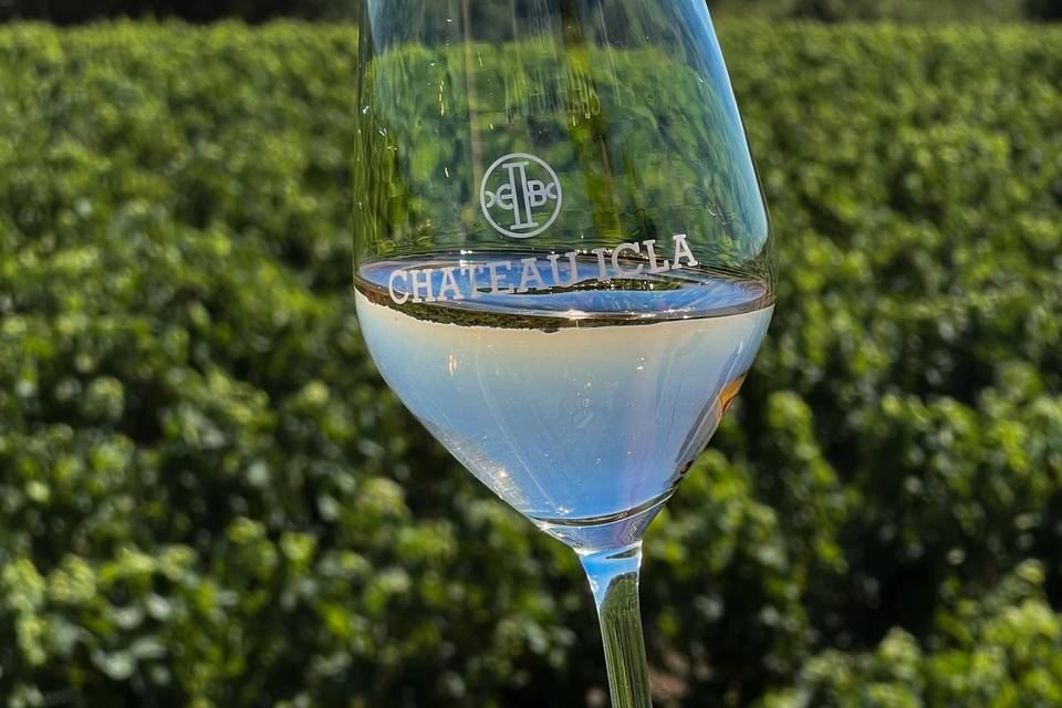 Rosé dans les vignes