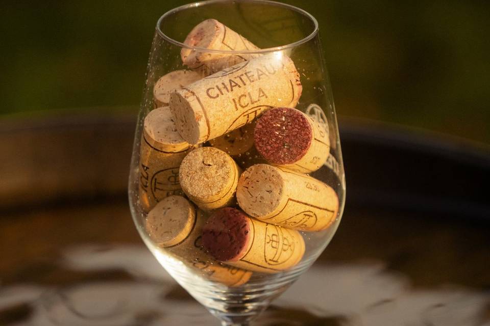 Vins du Château ICLA