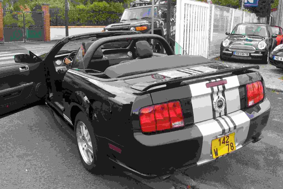 Mustang Gt Cabriolet 2007