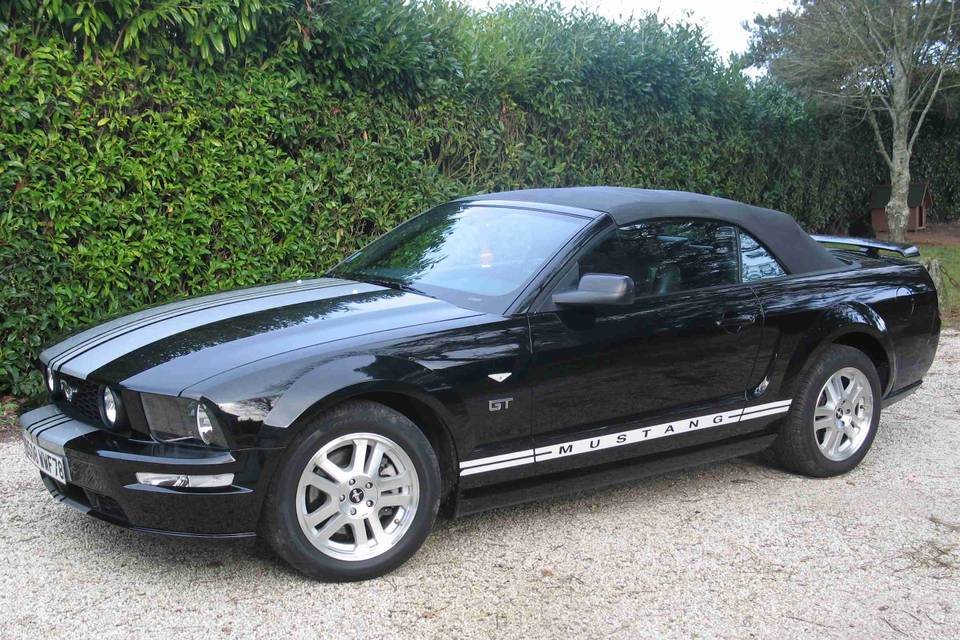 Mustang Gt Cabriolet 2007