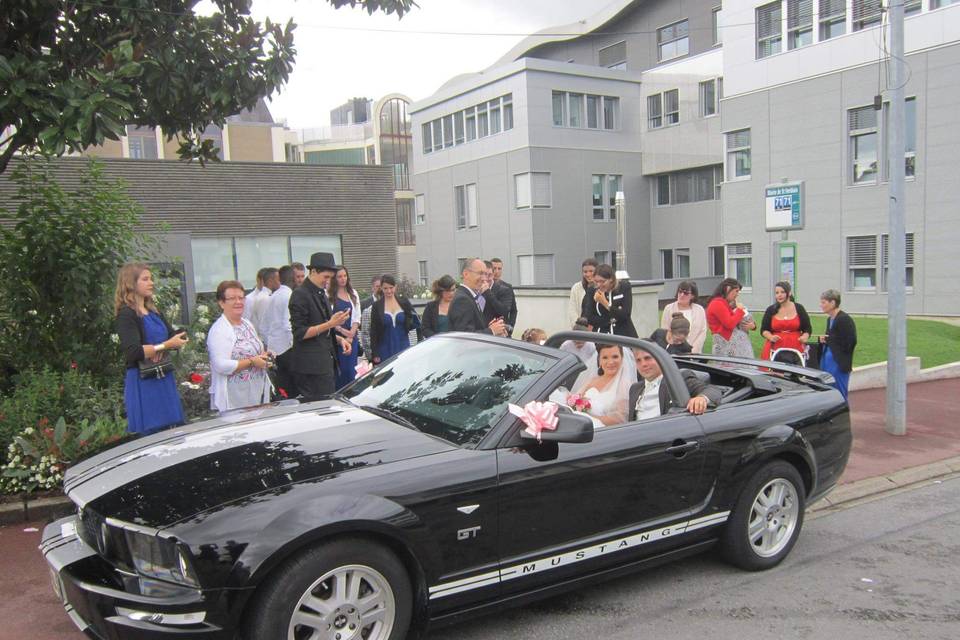 Mustang Gt Cabriolet 2007