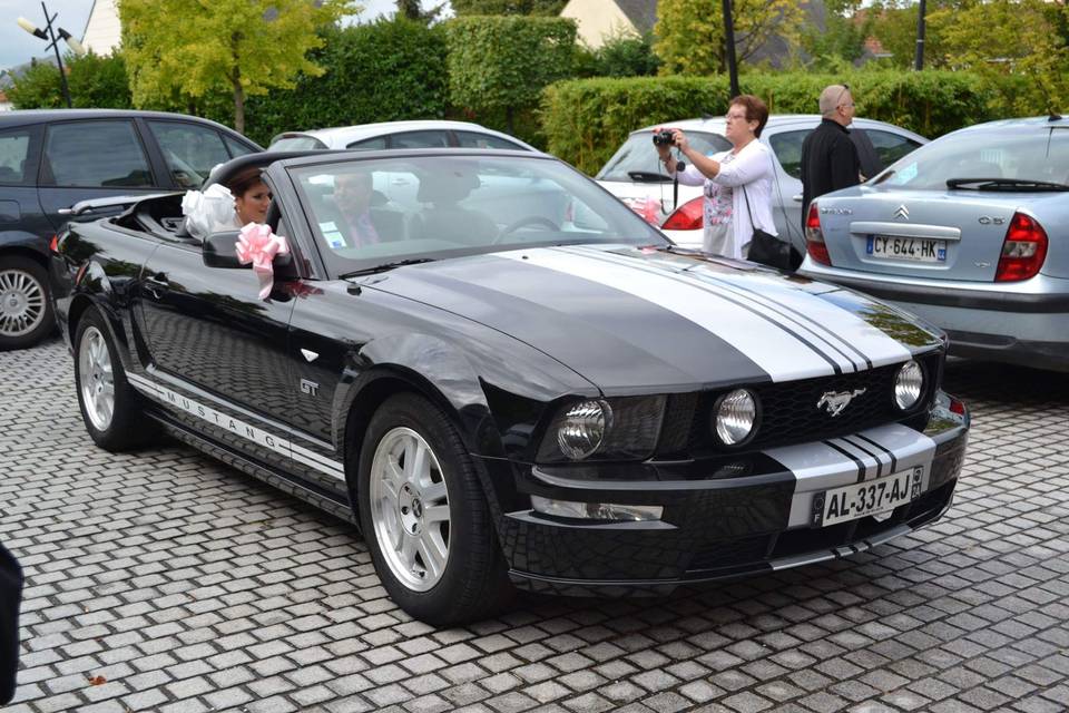 Mustang Gt Cabriolet 2007