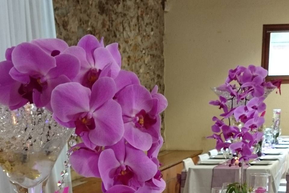 Cascade d'orchidées