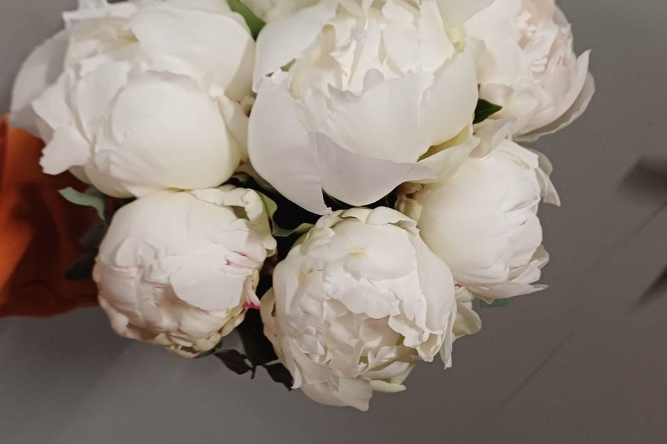 Fleur de Coton