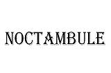 Noctambule logo