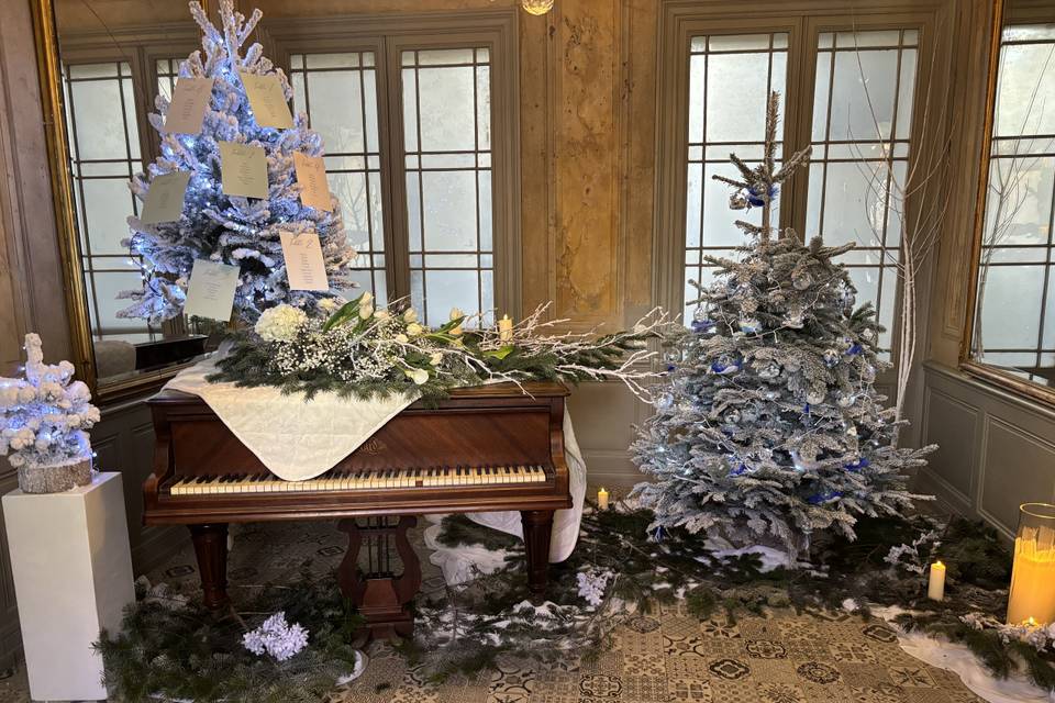 Mariage d hiver