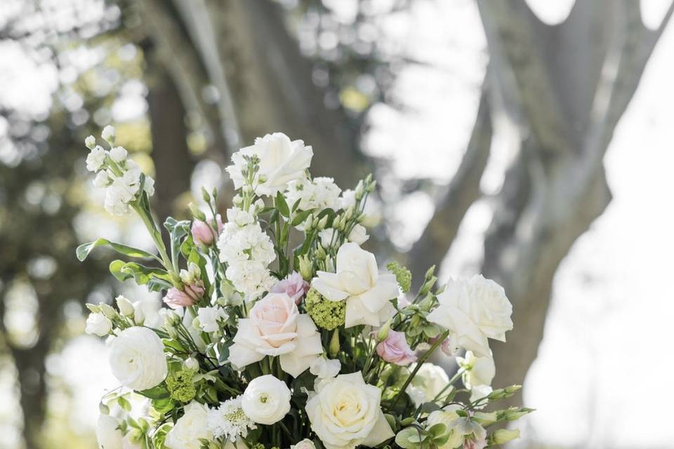 Mariage avril 2026