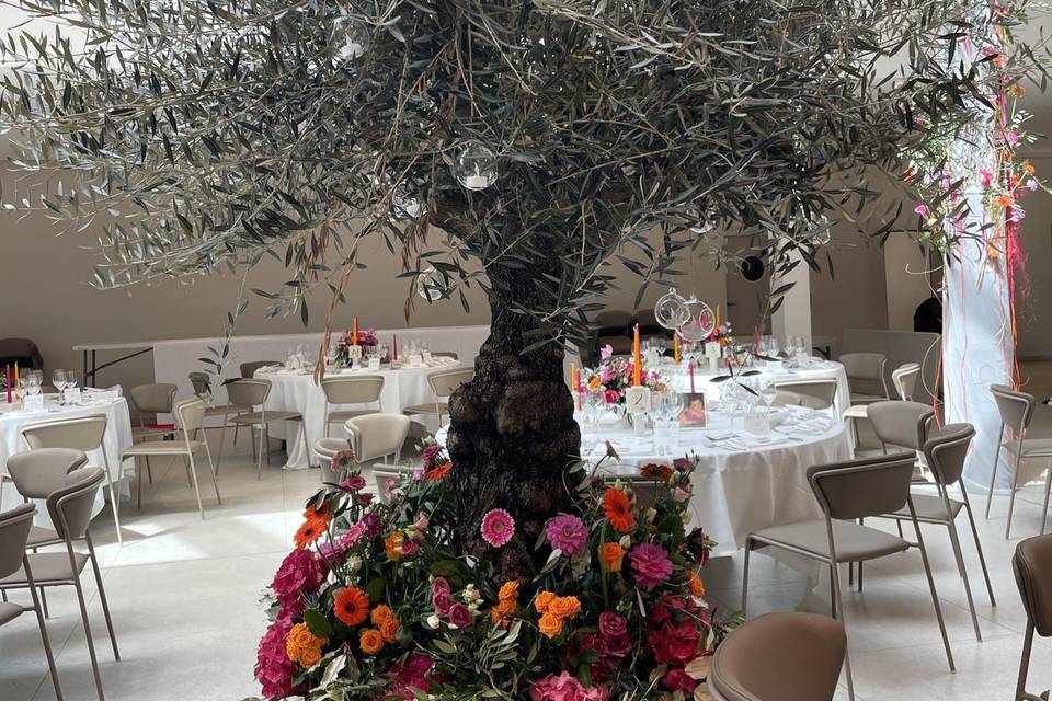 Décoration salle