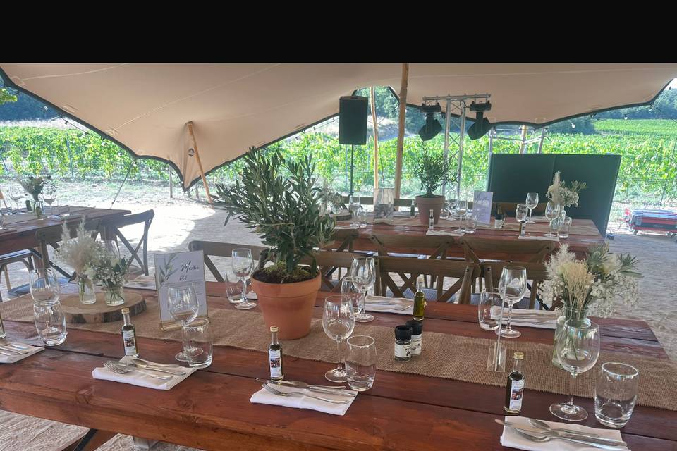 Mariage terre St hilaire