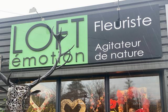 Sarl loft emotion