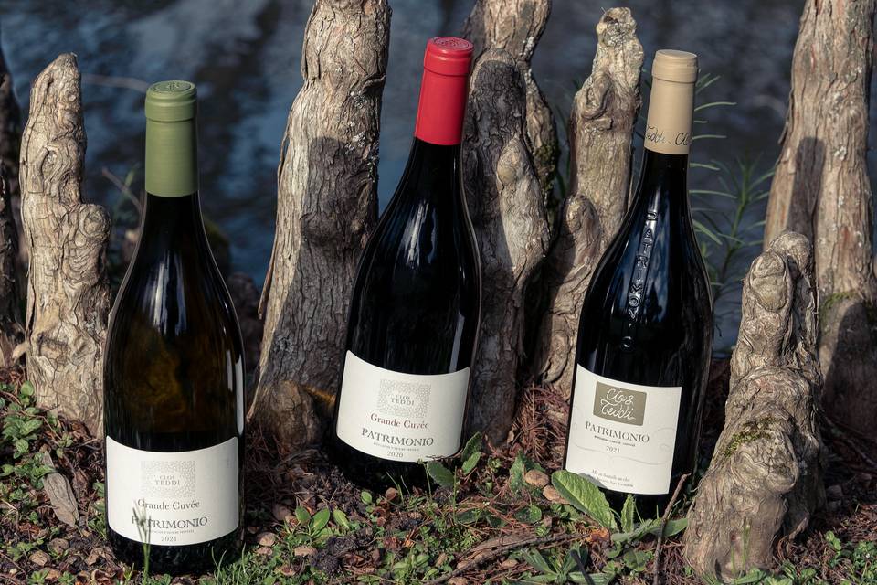 Vins