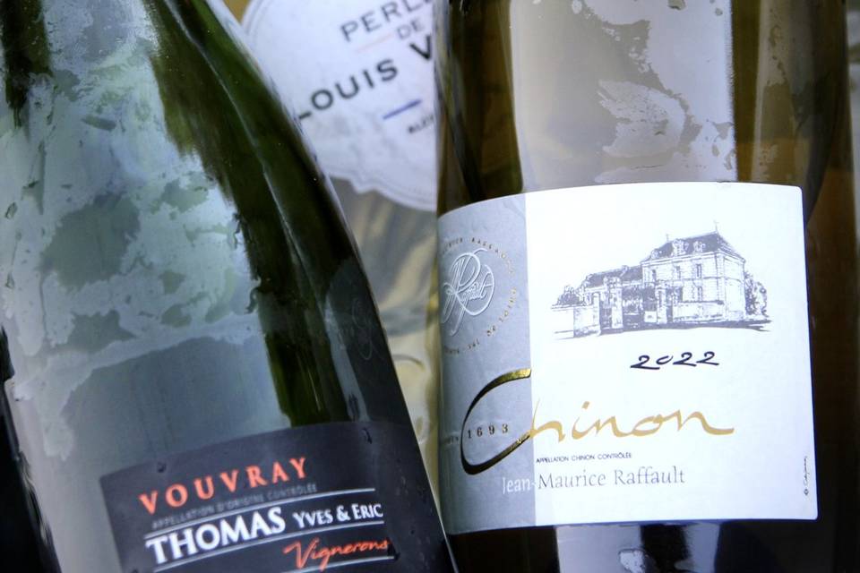 Vins