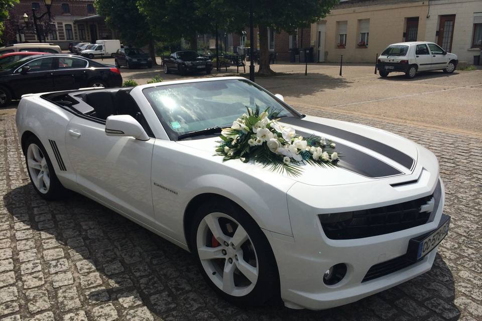 Camaro2