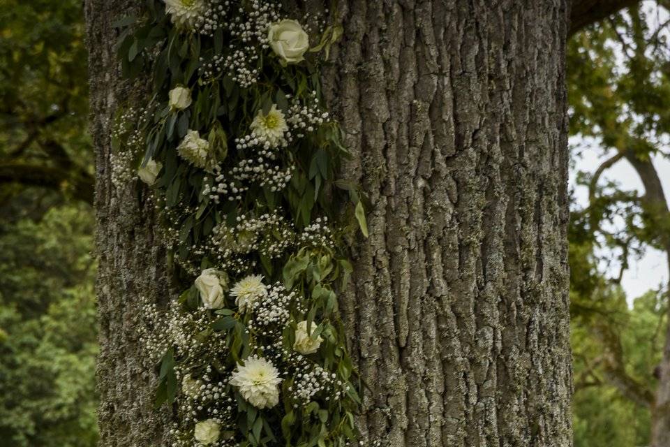 Arbre fleuri