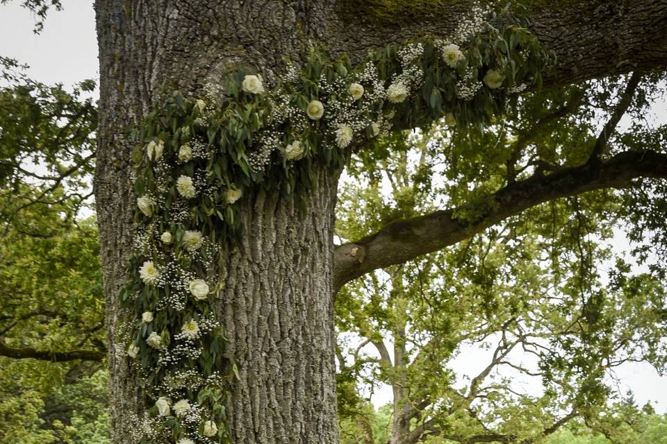 Arbre fleuri