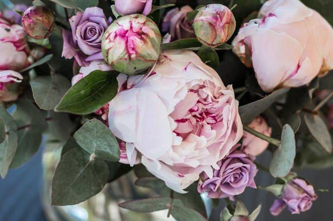 Bouquet de pivoines et roses