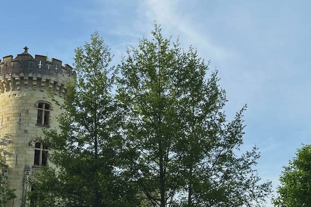 Château de la Mothe Chandenier