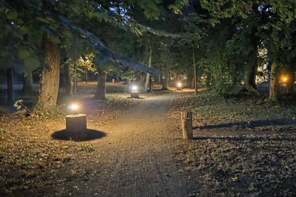 Les allées du parc de nuit