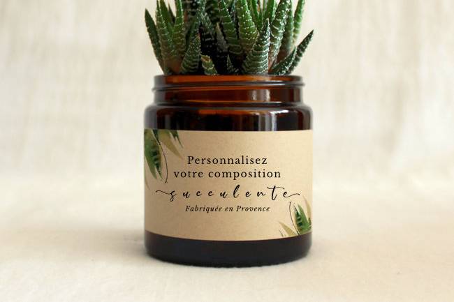 Cadeau original et pas cher pour vos invités mariage : des succulentes