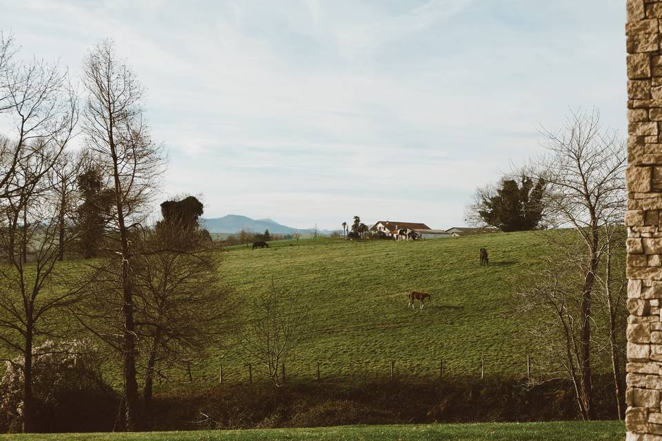 Vue dégagée