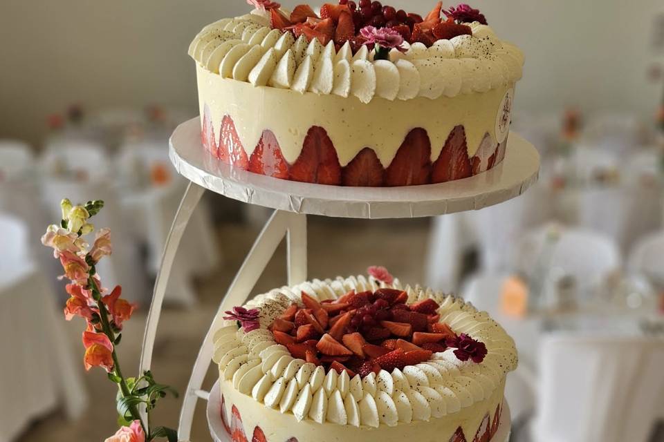 Fraisier