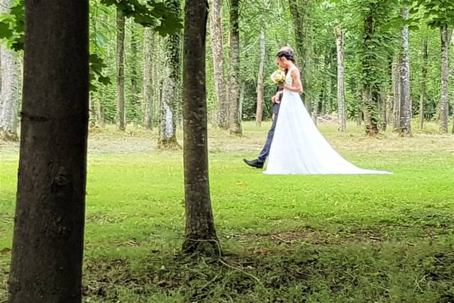 Cérémonie dans la forêt
