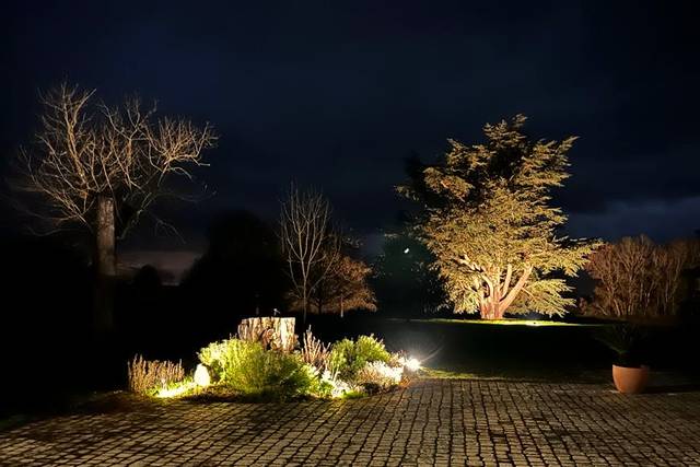 Terrace with 300 Year Old