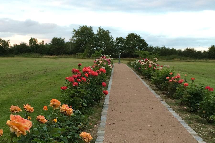 Rose Walk