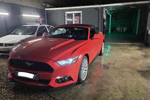 Ford shelby