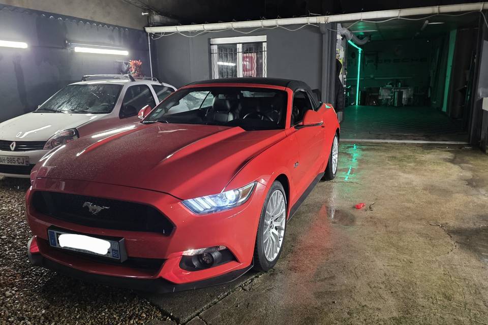 Ford shelby
