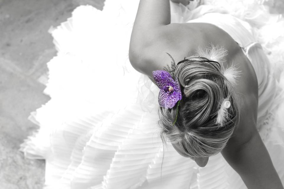 Stephane Michaux Photographe