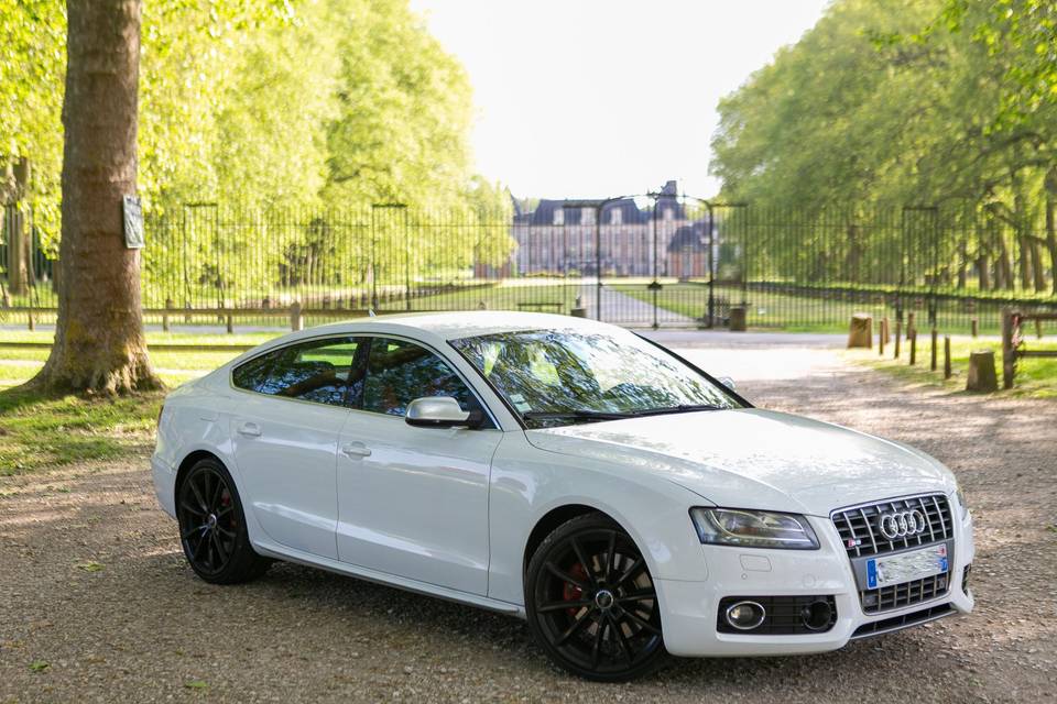 Audi blanche