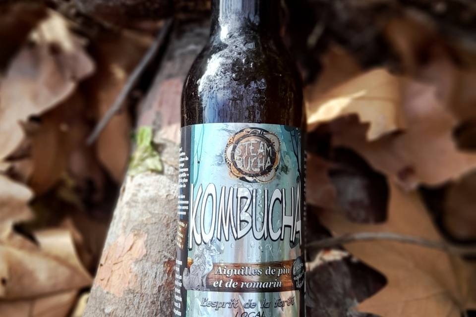 Steambucha